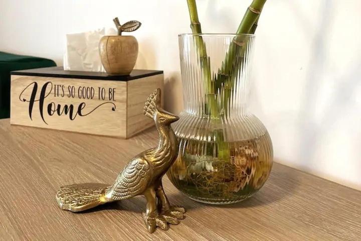 Peacock Studio Năvodari Exteriör bild